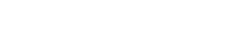 Revlo